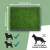 Premium Hundetoilette mit 3-Lagen-Kunstrasen